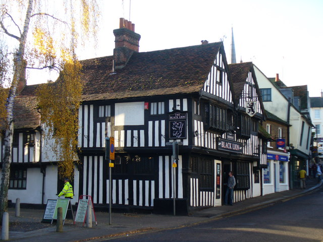 The Black Lion