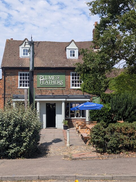The Plume of Feathers