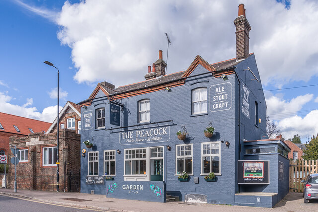 The Peacock