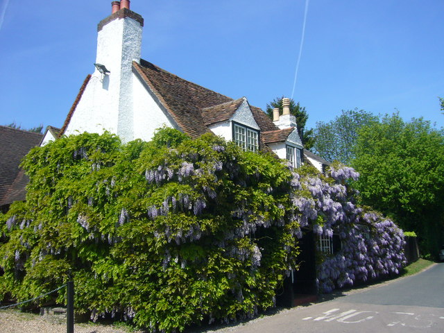 The Holly Bush