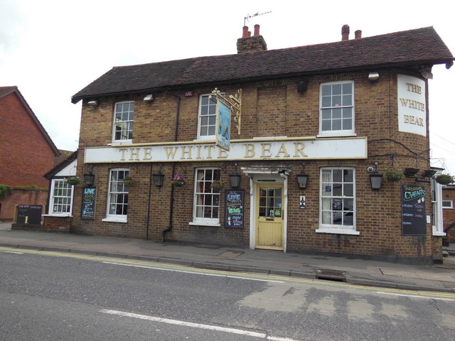 The White Bear