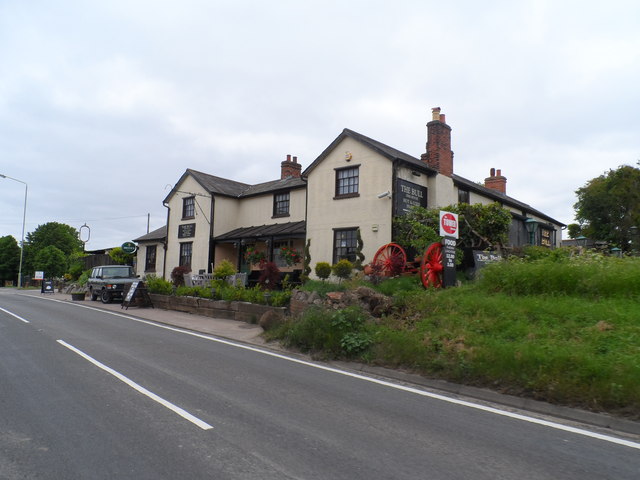 The Bull