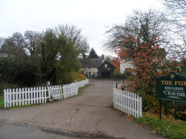 The Fox