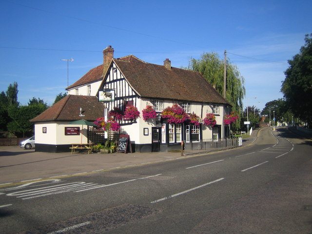 The Bull