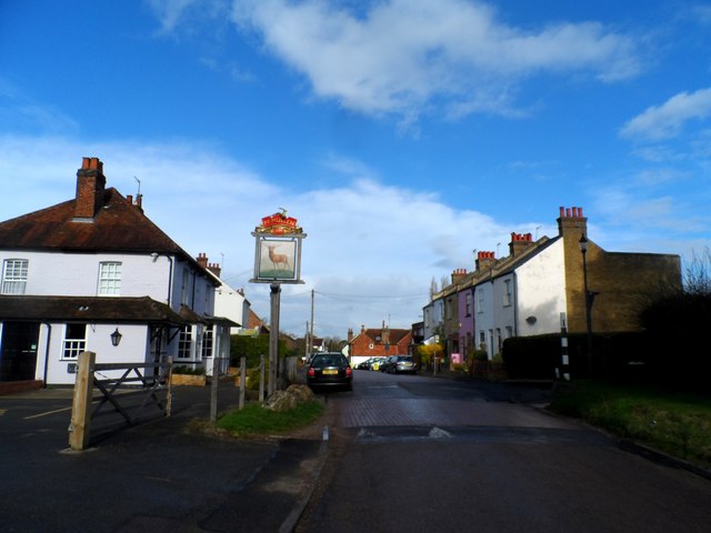 The Stag
