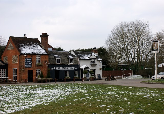 The Cricketers