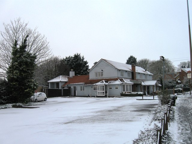 The Orange Tree