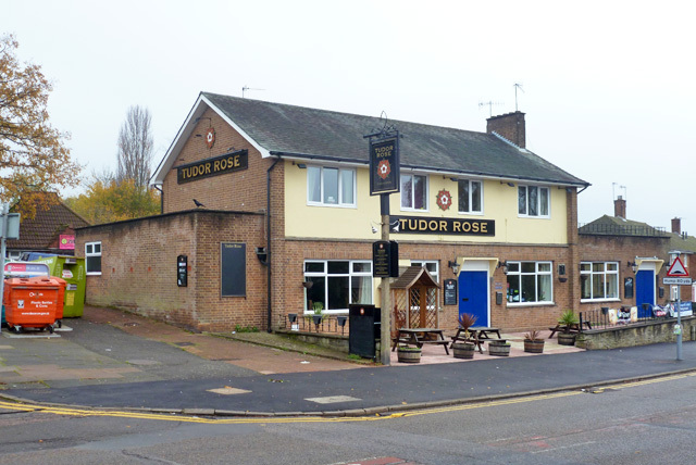 The Tudor Rose