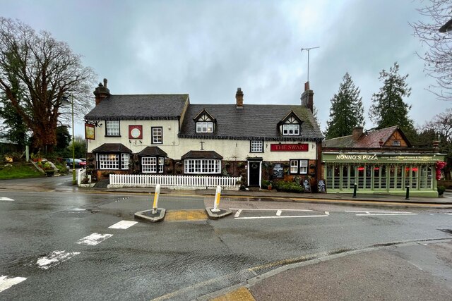 The Swan