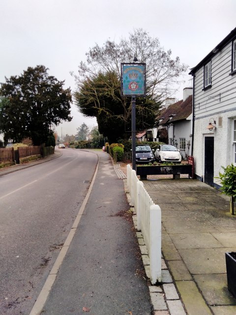 Rose & Crown