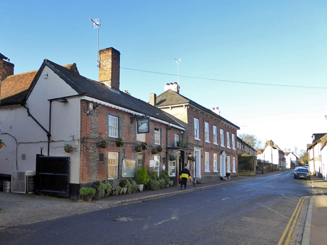 The Swan