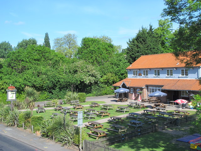 The Crocodile